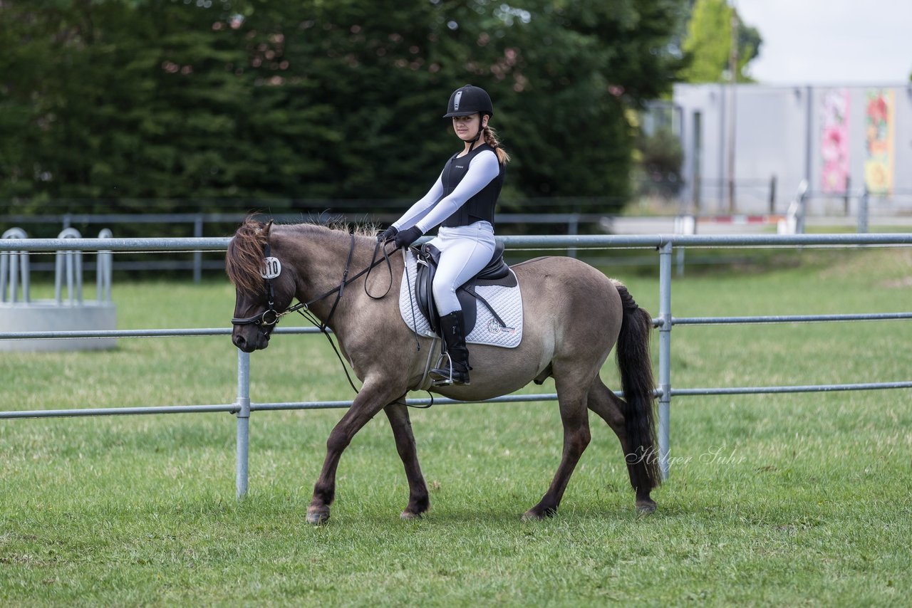 Bild 2 - Pony Akademie Turnier